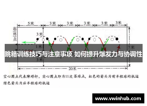 跳箱训练技巧与注意事项 如何提升爆发力与协调性