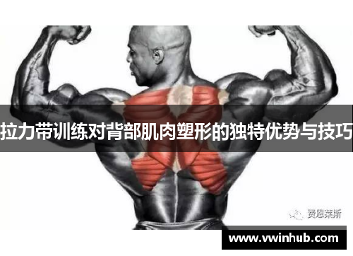 拉力带训练对背部肌肉塑形的独特优势与技巧